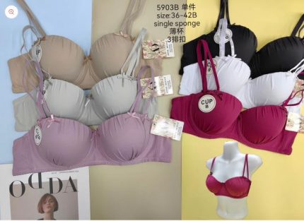 Daily wear Pushup padded wire Bra