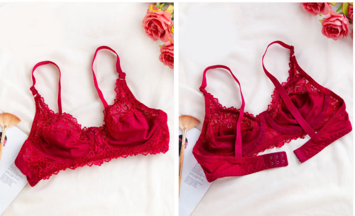 Daily Wear Half net Summer Bra1